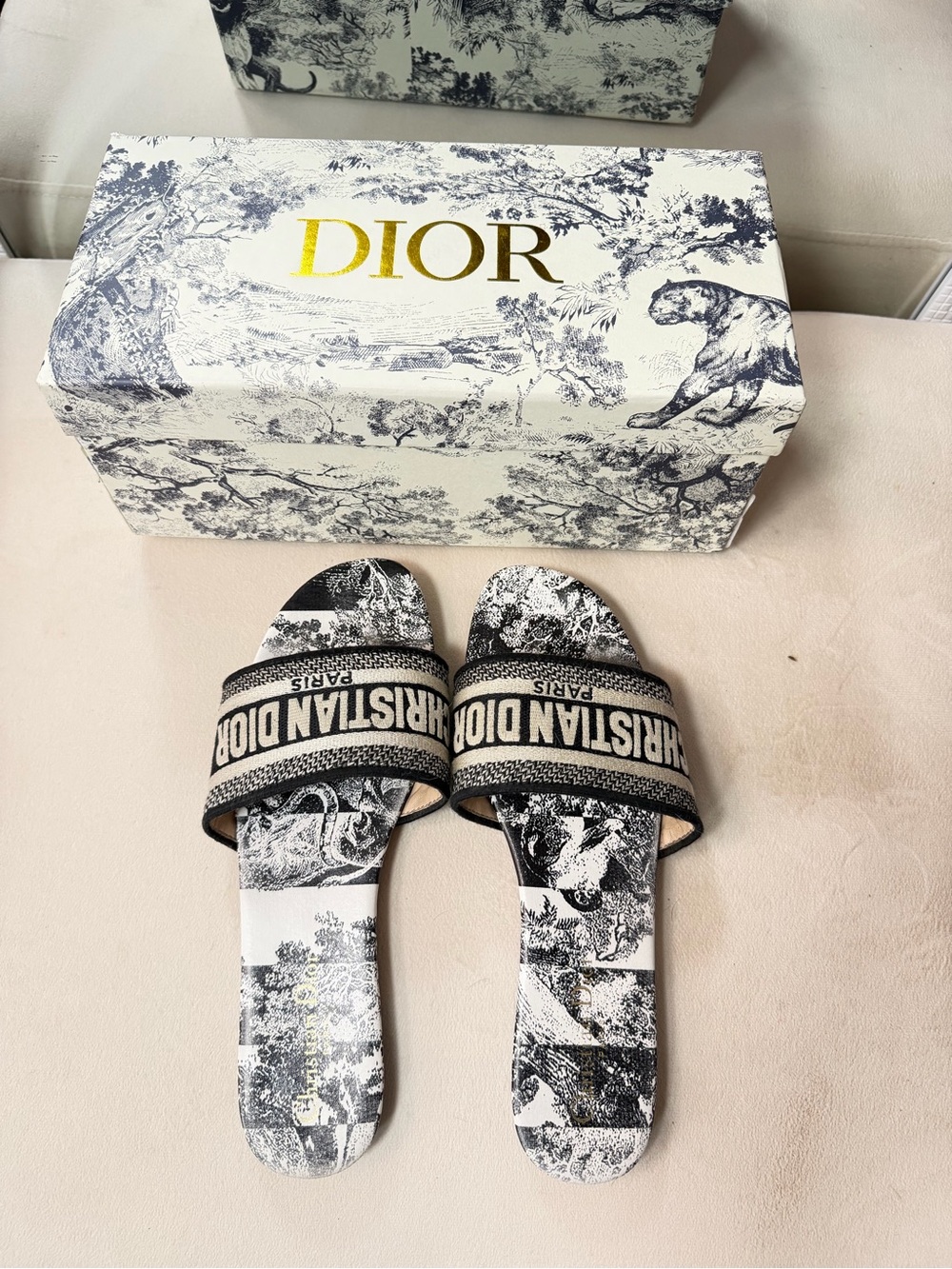 Christian Dior Dway slides
